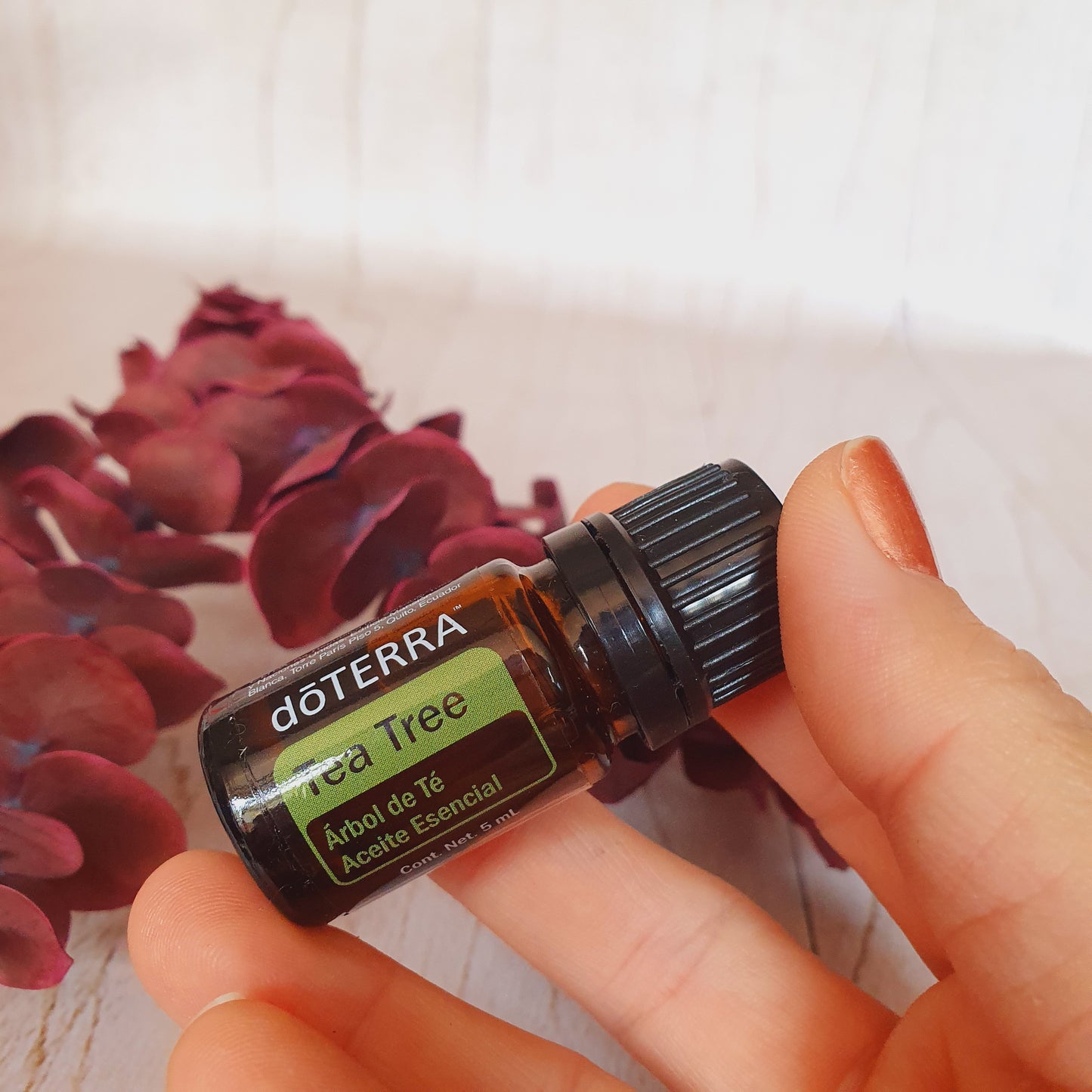 Melaleuca - Árbol de te - 5 ml