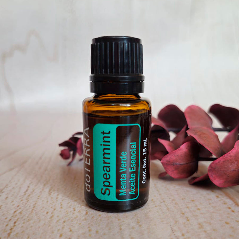 Hierbabuena 15ml
