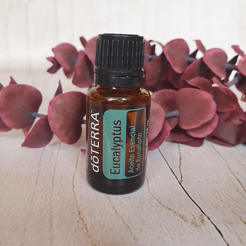 Eucalipto - 15 ml