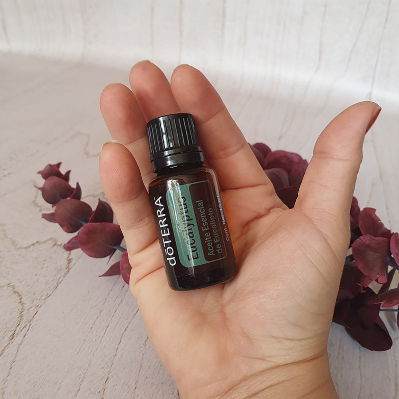 Eucalipto - 15 ml