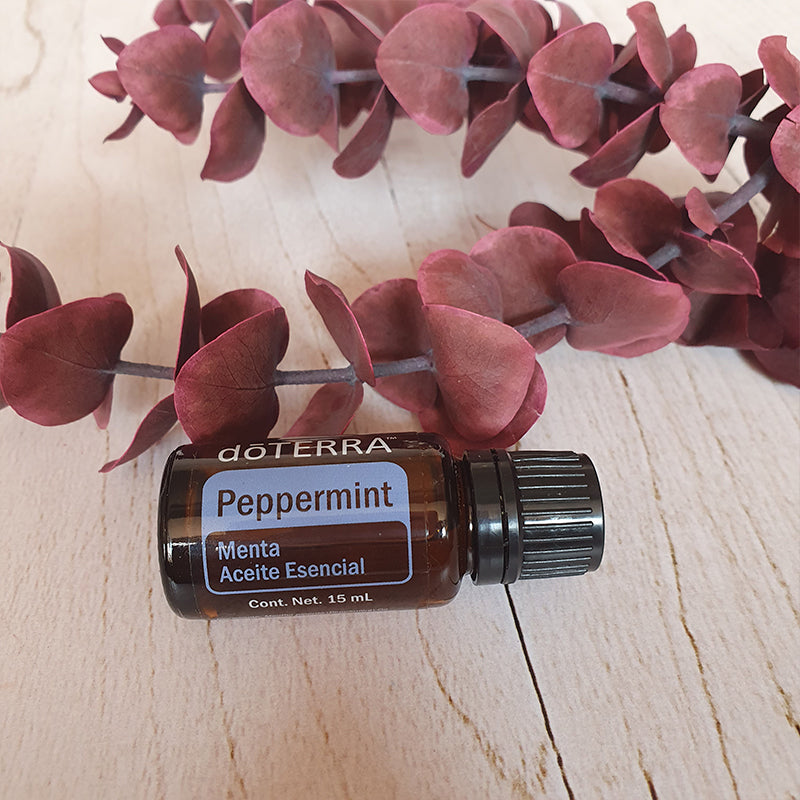 Menta - 15 ml