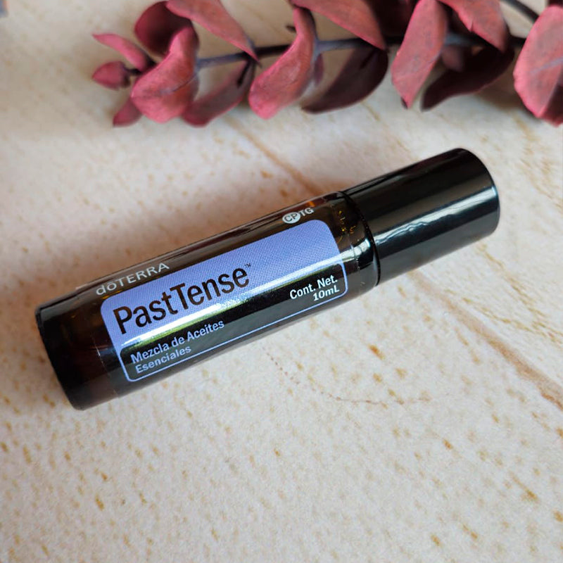PastTense - Rollon