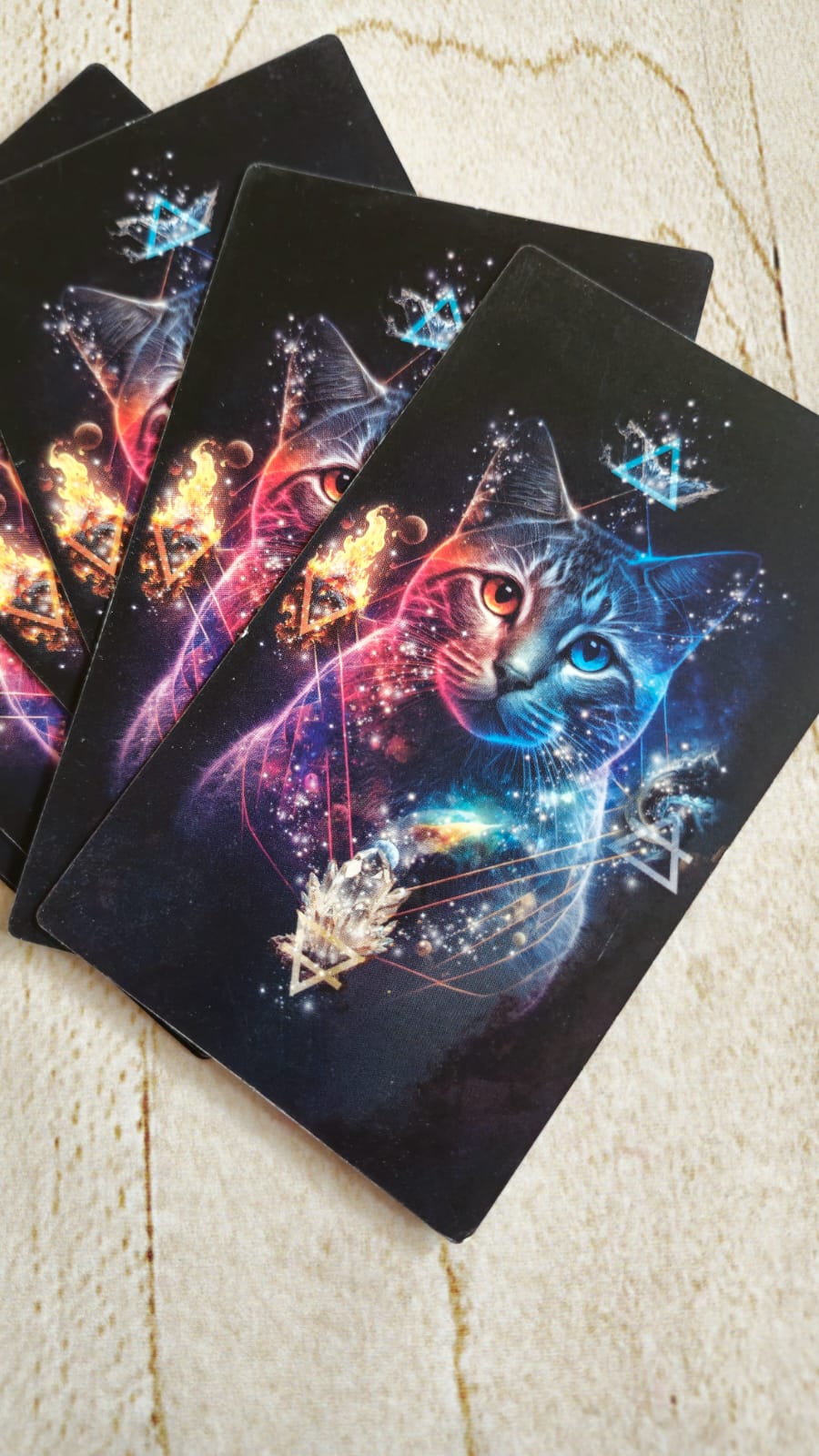 TAROT FELINO