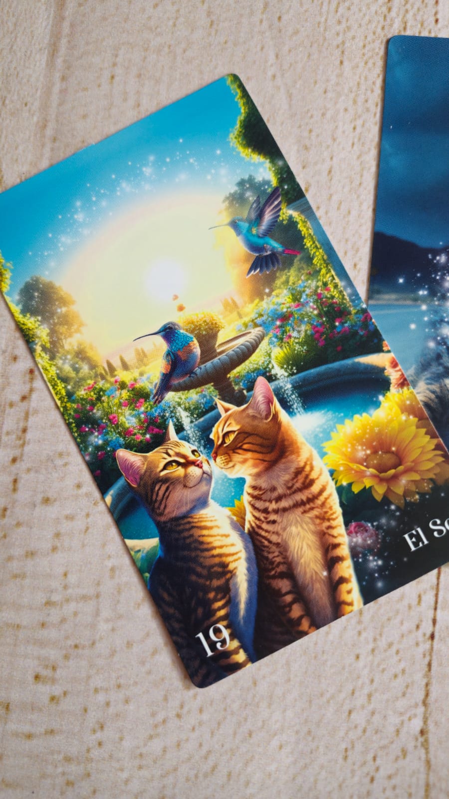TAROT FELINO