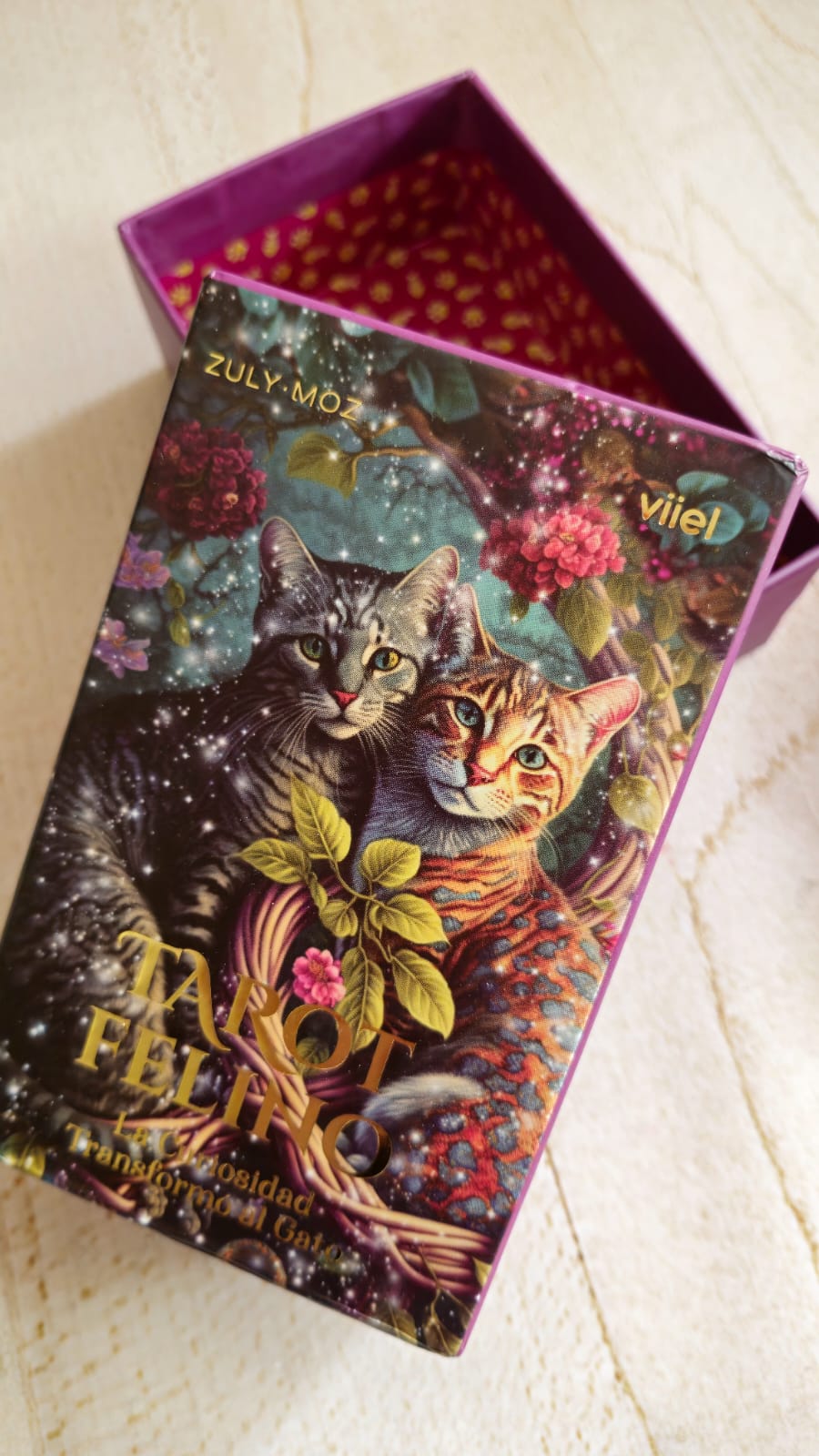 TAROT FELINO