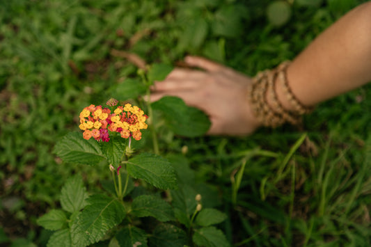 Vero tomó nuestra consulta de Registros Akashicos!
