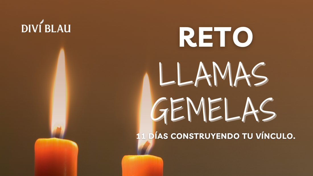 11 Días Hacia la Conexión con tu Llama Gemela: El Viaje de Autoconocimiento que Transforma tu Amor