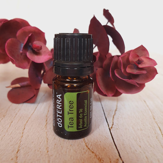 Melaleuca - Árbol de te - 5 ml