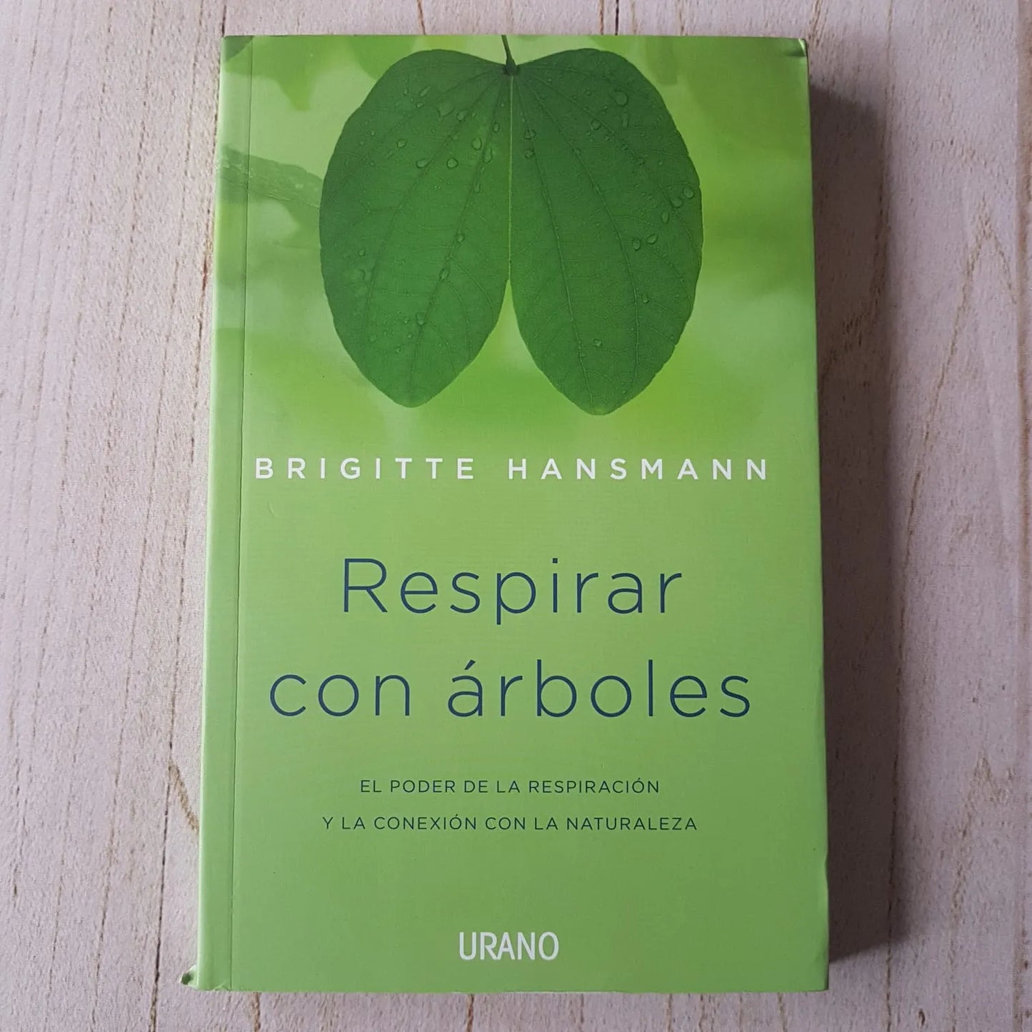 RESPIRAR CON ARBOLES