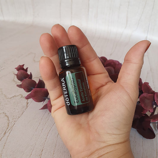 Eucalipto - 15 ml