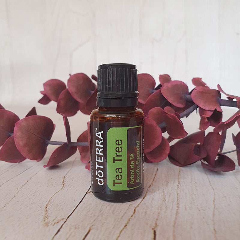 Melaleuca - Árbol de te - 15 ml