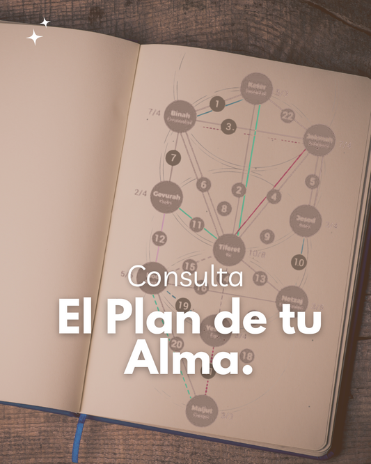 Consulta El Plan de tu Alma