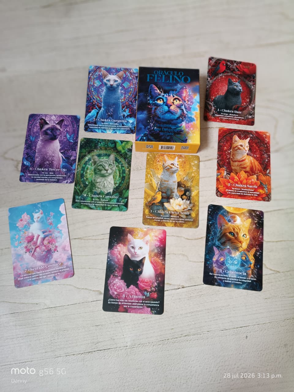 Oraculo Felino