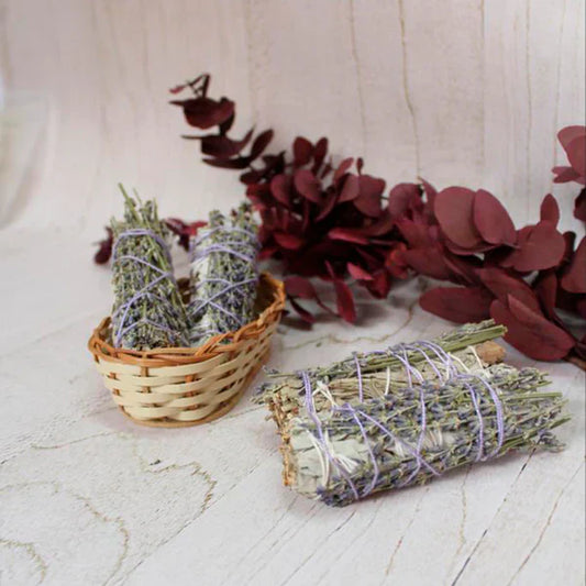 Salvia con Lavanda